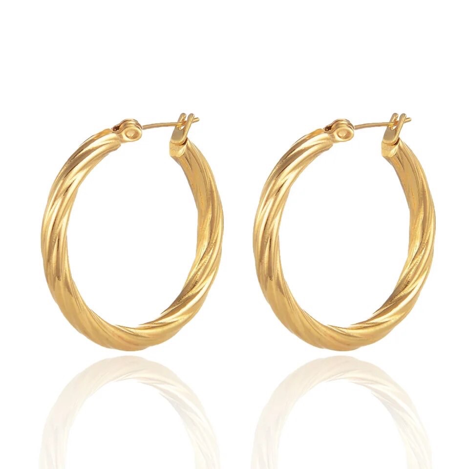 Nwot Elegant Gold Plated Hoop Earrings